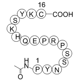 Nitric Oxide Synthase (599-613) Blocking Peptide, Bovine Endothelial Cell