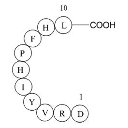 Angiotensin I (human, mouse, rat) 