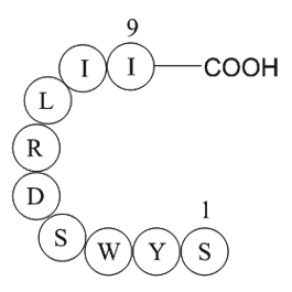 signal transducer and activator of transcription 6 fragment