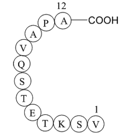 Rhodopsin peptide